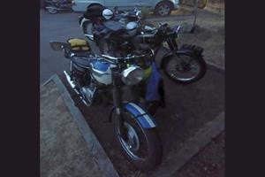 20260812 Purleigh Bell 07