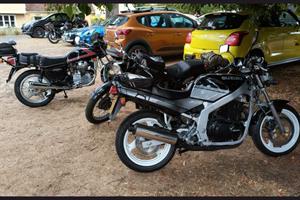 20260816 Terling 02