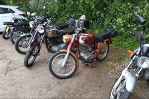 2025 Tiddlers Run 2