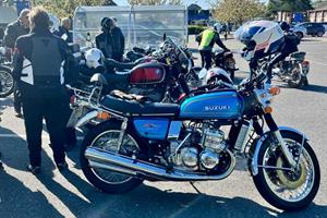 20260423 Tesco bluebell 2 01