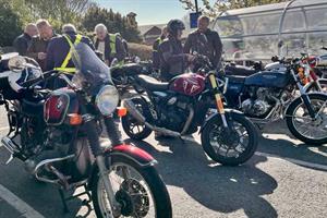 20260423 Tesco bluebell 2 02