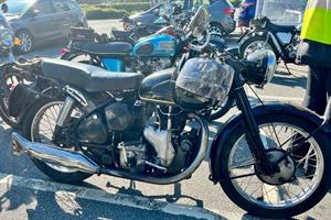 20260423 Tesco bluebell 2 03