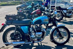 20260423 Tesco bluebell 2 04