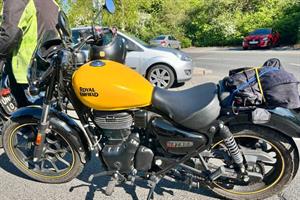 20260423 Tesco bluebell 2 06