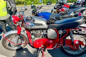 20260423 Tesco bluebell 2 08