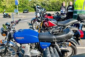 20260423 Tesco bluebell 2 09