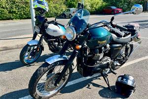 20260423 Tesco bluebell 2 10